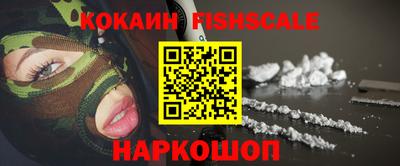 крисы Можга