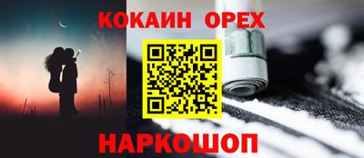 крисы Можга