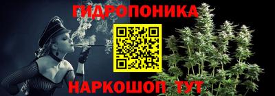 крисы Можга