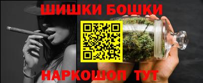 крисы Можга