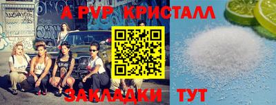 крисы Можга