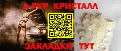 крисы Можга