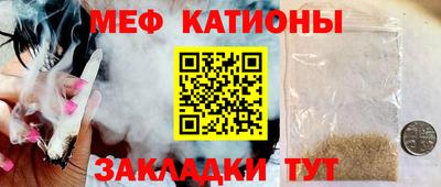 крисы Можга